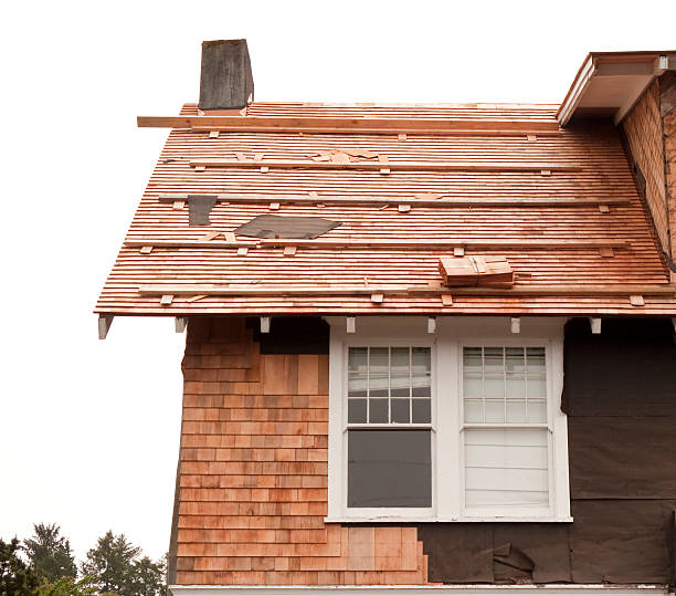 Affordable Siding Repair and Maintenance Services in Tiptonville, TN